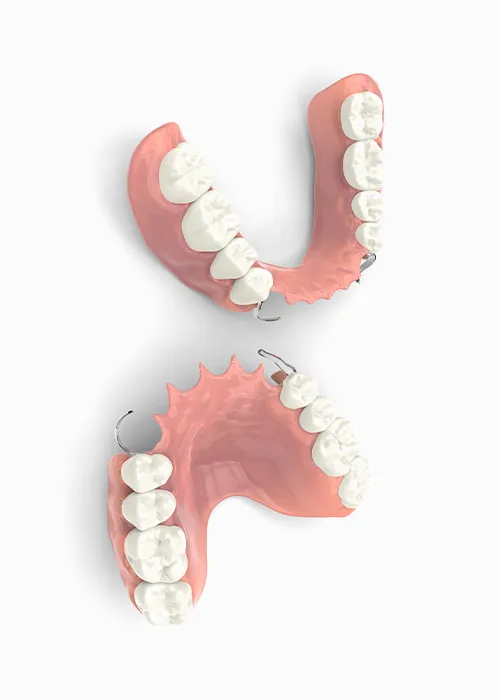 isolated image of full denture and partial denture on display